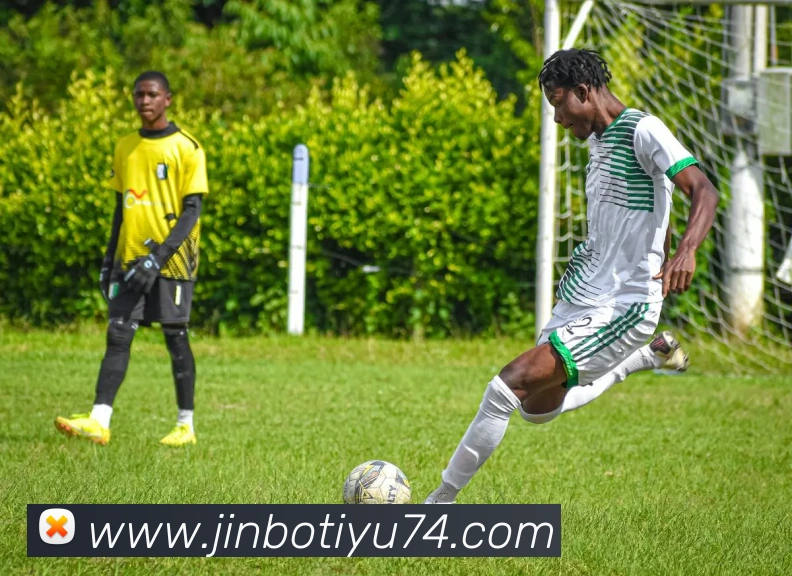 App Interface Preview